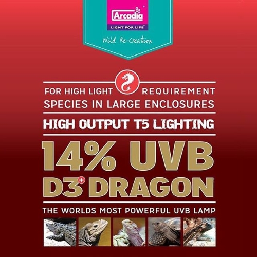 Arcadia D3+ Dragon T5 14 UVB Tube 39w 34in RFD3D39T5